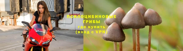 стафф Балахна